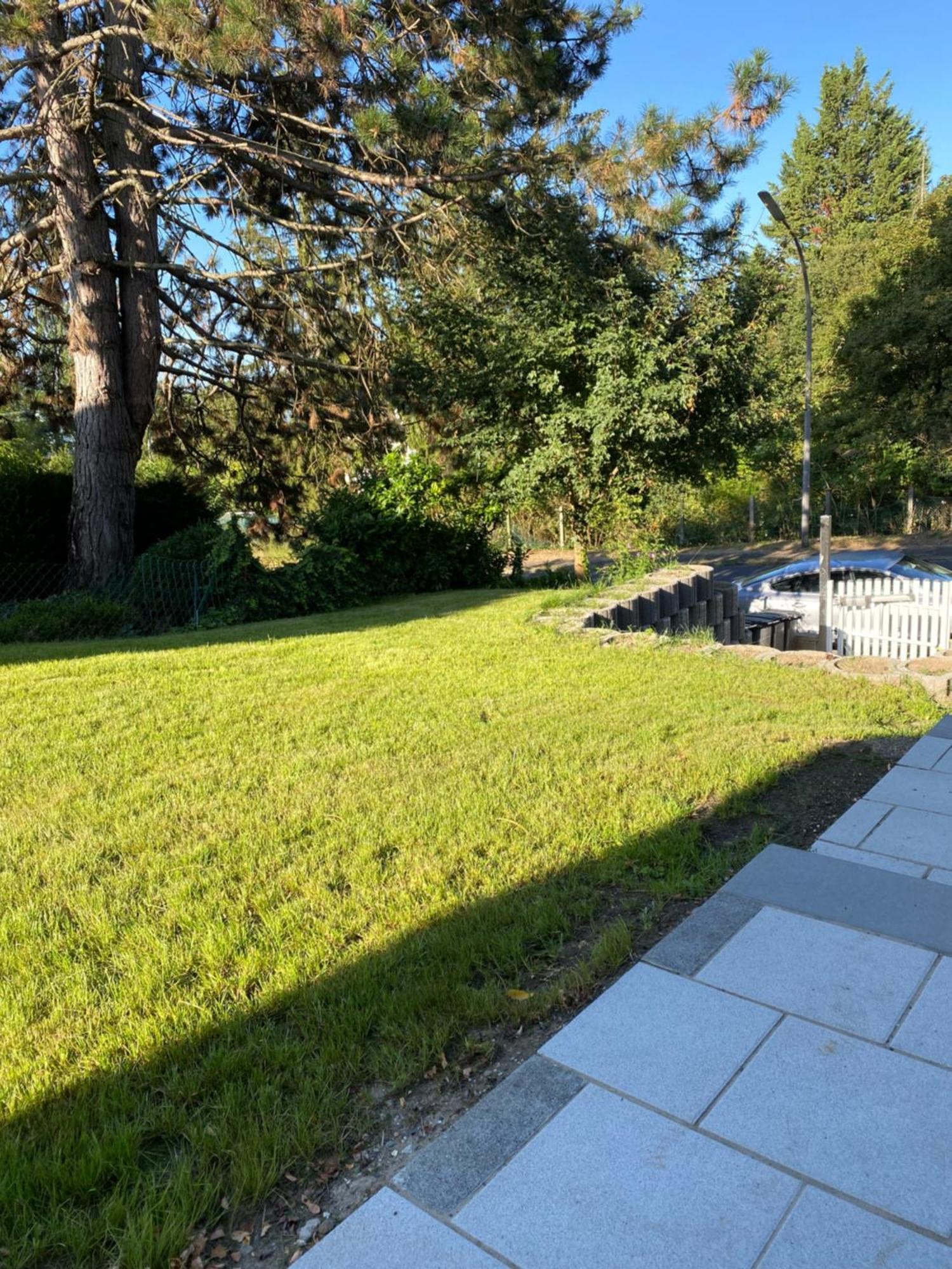 Deluxe Apartment Jl Mit Terrasse Wiesbaden Eksteriør bilde